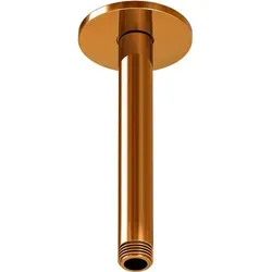 Steinberg Serie 100 Brausearm, Deckenmontage, 120mm, rund von Steinberg