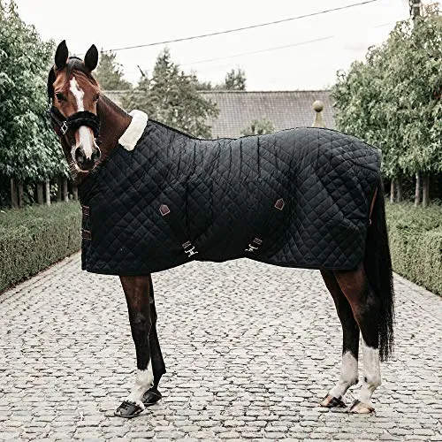 Kentucky Horsewear Stalldecke - 400g, Schwarz, 155cm - Reit- & Pferdebedarf: Atmungsaktive Stalldecke mit 400g Füllung für optimalen Komfort und Wärme, ideal für kalte Stallbedingungen.