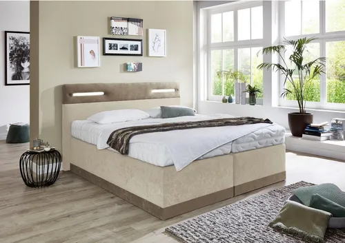 Elegantes Boxspringbett mit LED-Beleuchtung von Westfalia