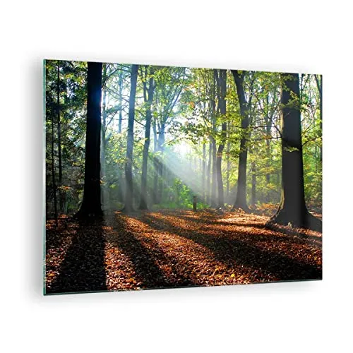 Bilder auf Glas Wald Blätter Sonne Glasbild 70x50cm Wandbilder Dekoration Wohnzimmer Schlafzimmer Küche Deko Klein Wanddeko Bild im Glas Wand Kunstdruck Art Modern Wall Decor Glasdruck GAA70x50-0136