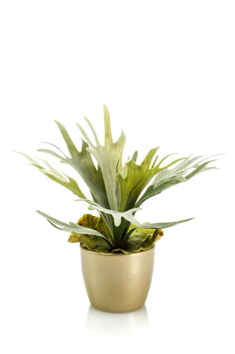 Künstliche Zimmerpflanze Geweihfarn Cayo im Keramiktopf Gold, 40cm - Dekorative Kunstpflanze Geweihfarn Cayo in elegantem Keramiktopf. Ideal für den Innenbereich, pflegeleicht und langlebig – perfekt für stilvolle Raumgestaltung.