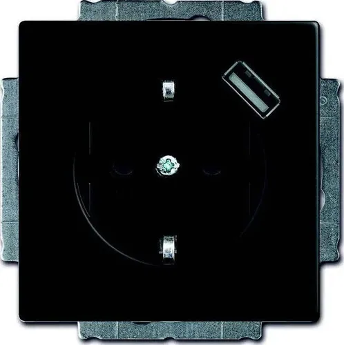 Busch-Jaeger 20 EUCBUSB-885 SCHUKO® USB-Steckdose - Steckdosen & Zubehör mit integriertem USB-Anschluss für bequemes Laden von Geräten, ideal für moderne Wohnräume.