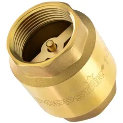 Poppstar Rückschlagventil, Rückschlagventil 1 1/4 Zoll für Pumpe und Waschmaschine, Messing 3.9 cm
