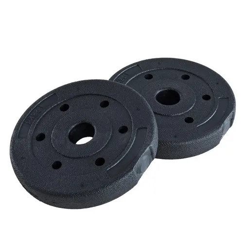 ESTEXO Hantelscheiben Hantelgewichte 2er Set 1,25 kg Kunststoff Gewichte Zementfüllung