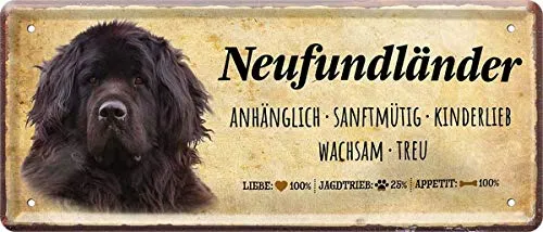 WOGEKA ART Retro Blechschild - Neufundländer Hund Steckbrief Dog - witziger Spruch als Geschenk-Idee zum Geburtstag Weihnachten zur Dekoration 28x12 cm Vintage-Design Metall 1480