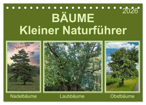 CALVENDO Wandkalender Bäume Kleiner Naturführer (Tischkalender 2026 DIN A5 quer), CALVENDO M