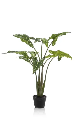 Künstliche Zimmerpflanze Unechte Alocasia Sanderiana MUNAY im Dekotopf, 120 cm - Elegante künstliche Alocasia Sanderiana, perfekt für die Innenraumgestaltung. Mit einer Höhe von 120 cm bringt sie lebendige Farbe und Stil in Ihr Zuhause.