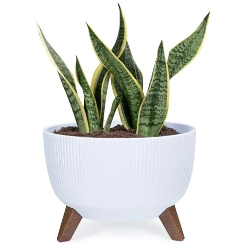 KONZEPT Pflanzenschale mit Füßen 33 cm Blumentopf Kunststoff Weiß, Pflanzkübel Groß Außen, UV-Beständig, Wetterfest, Mit Wasserablauf, Perfekt für Solarbrunnen & Miniteich