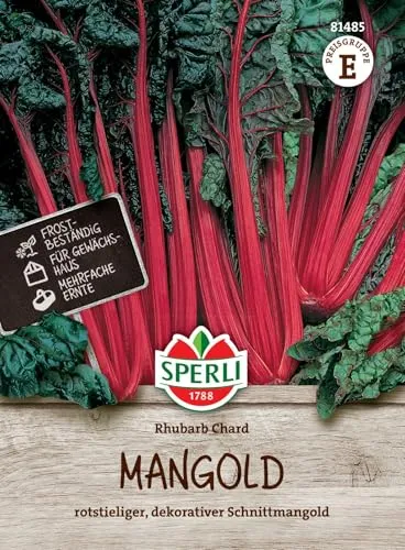 Sperli Mangoldsamen Rhubarb Chard 81485 - Rotstieliger, dekorativer Schnittmangold - Inhalt für 45 Pflanzen - Gemüsesamen, Samen Gemüse, Saatgut