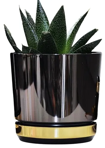 Blumentöpfe & Pflanzgefäße Gold von KERD