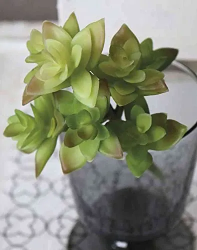 artplants.de Kunst Echeveria gibbiflora Troy, Steckstab, grün-rot, 17cm, Ø9cm - Echeveria künstlich