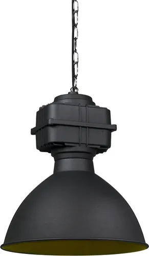 Produktbild Smarte Industrie-Hängelampe Schwarz 38,5 cm mit WiFi A60 Glühbirne