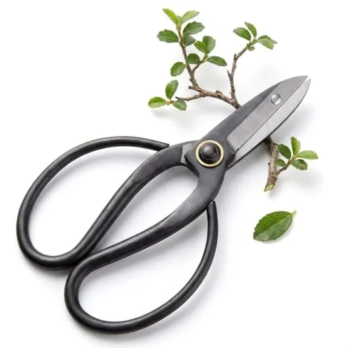 Scharfe Bonsai Schere aus Stahl - Traditionelles Bonsai Werkzeug für eine professionelle Bonsai-Zucht - ideal für Knospen, Blätter & Äste