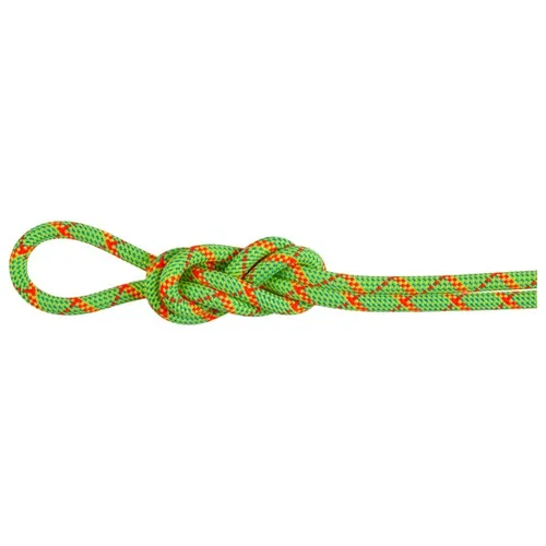 Mammut 8.0 Alpine Core Protect Dry Rope