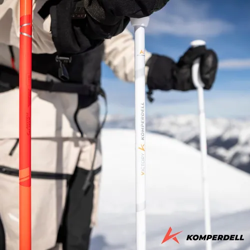 Skistöcke VICTORY TI Unisex 110