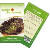 Deine Gartenwelt Pflücksalat Lollo Rossa Samen