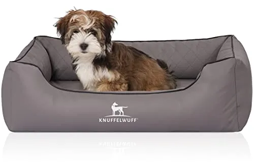 Knuffelwuff Orthopädisches Hundebett Madison von Knuffelwuff