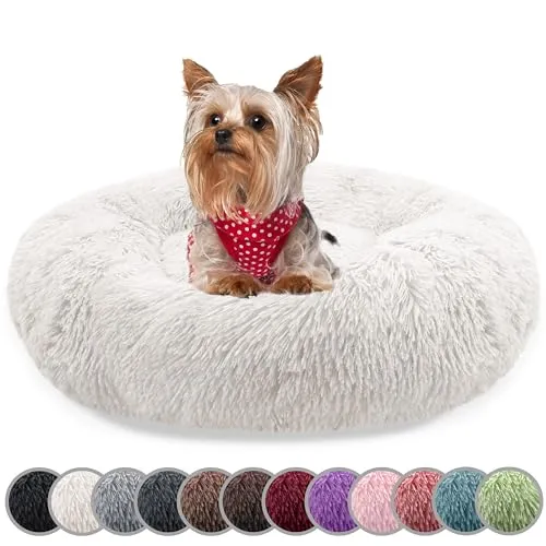 bluzelle Hundebett für kleine Hunde & Katzen, 50cm Rund Donut Kissen - Hundebetten | Pflegeleicht und hygienisch dank waschbarem Bezug, rutschfest mit maximalem Komfort durch veganes Plüsch-Kunstfell.