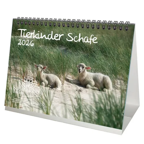 Tierkinder Schafe DIN A5 Tischkalender für 2026 Schafe und Lämmchen - Seelenzaub