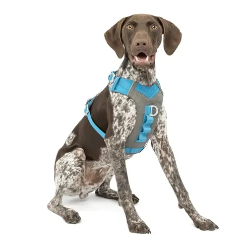 Kurgo Journey Air Hundegeschirr - Blau/Grau, Größe M für aktive Hunde - Weiteres Autozubehör mit gepolstertem Brustteil und Rückgriff, ideal für aktive Hunde von 11-23 kg. V-Ausschnitt für optimale Bewegungsfreiheit und reflektierende Streifen für mehr Sicherheit.