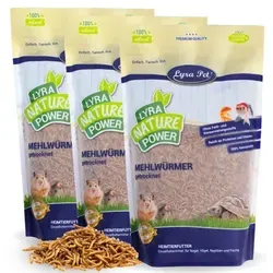 Lyra Pet® Mehlwürmer getrocknet 3 kg - Vogelhauptfutter: 100% natürliche, getrocknete Mehlwürmer, reich an 50,2% Protein und ideal für die gesunde Ernährung von Vögeln, Reptilien und Nagern. Perfekt für ganzjährige Fütterung!