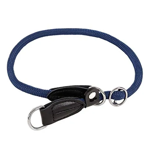 lionto Hundehalsband aus strapazierfähigem Nylon für Hundetraining, Länge 55 cm, 1 cm Dicke, Zugstopp Halsband für Hunde, Lederimitat mit Metallring & Anpassung durch stufenlosen Schieber, blau