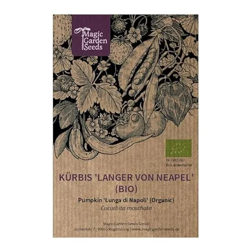 Kürbis 'Langer von Neapel' (Cucurbita moschata) ca. 5 Bio-Samen Lunga di Napoli