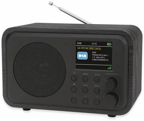UNIVERSUM DAB+ Radio DR 300-20 - Tragbares DAB+ Radio mit Akku und Bluetooth - Radios mit DAB+ Empfang, Akku für mobile Nutzung und Bluetooth für kabelloses Streaming.