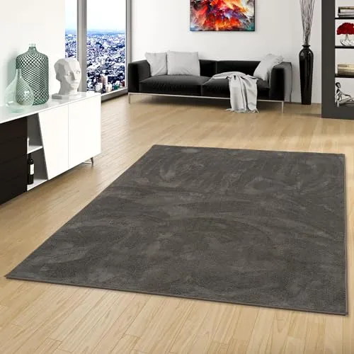 Snapstyle Luxus Super Soft Hochflor Langflor Teppich Deluxe Anthrazit - Flauschig Weich für Wohnzimmer Schlafzimmer Kinderzimmer