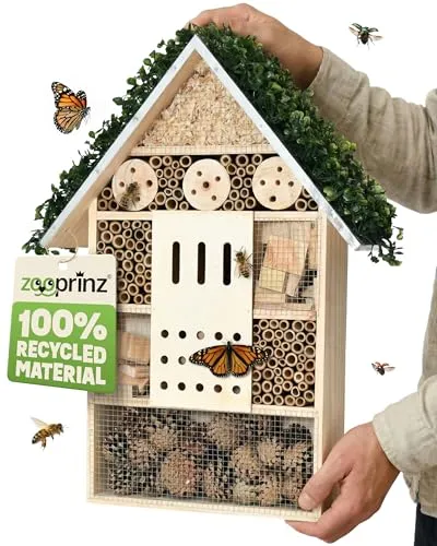 Schmetterlingshäuschen von zooprinz