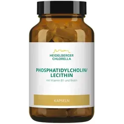 Phosphatidylcholin / Lecithin Kapseln 60 g - Nahrungsergänzungsmittel mit Sonnenblumenöl, unterstützt den Stoffwechsel und fördert die Gesundheit von Schleimhäuten und Nervensystem.