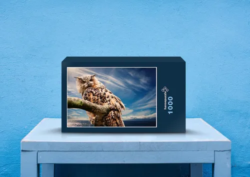 hansepuzzle 28020 - Eule Puzzle, 1000 Teile, Tierwelt, 60,0 x 46,0cm mit hochwertiger Aufbewahrung, Kartonbox und wiederverschließbarem Beutel