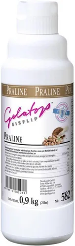 Dreidoppel Eisflip Praline Gelatop Dessertsauce flüssig 1000ml