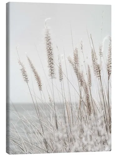 Poster & Bildende Kunst Pink von Posterlounge