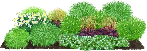 Dehner Bio Stauden-Set Wintergrün – 18 mehrjährige Gartenstauden für schattige Beete - Kreieren Sie mit 18 winterharten Stauden ein lebendiges Beet für schattige Standorte. Pflegeleicht und robust, bringen sie Farbe selbst in die kalte Jahreszeit. Topfgröße: Ø 9 cm.