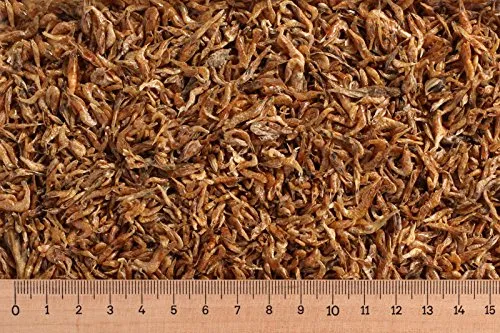  - 5 kg Shrimps 1-2 cm, Garnelen, Reptilienfutter, Schildkrötenfutter Grundpreis 11,80 Euro/kg