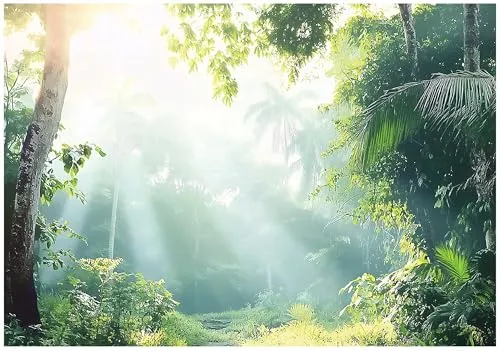 WallArena Vlies Fototapete Wald 250x175 cm in grün von Wallarena