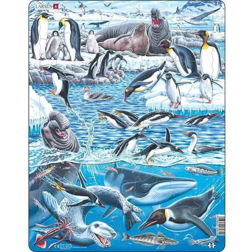 Larsen Die kalte und schöne Antarktis (66 Teile) (FH48) von Larsen