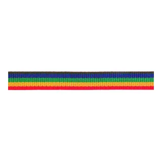 PÖSAMO Gurtband mehrfarbig 25,0mm Ro.100m (250x110), 100 Stück - Gurtwickler & Zubehör, strapazierfähiges Polypropylen-Gurtband in bunten Farben für vielseitige Anwendungen.