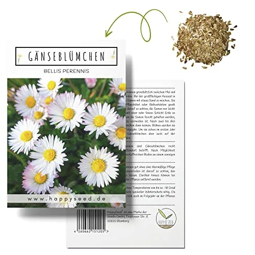 Gänseblümchen Samen (Bellis perennis)
