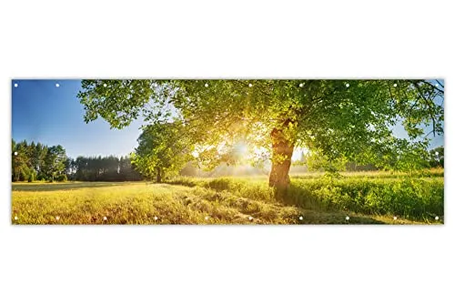 MuchoWow® Balkon Sichtschutz Sichtschutzmatte Balkonbanner Abdeckung für Terrasse Balkon Windschutz Blickdicht Wetterfest 300x100 cm Sommer - Baum - Landschaft - Sonnenaufgang