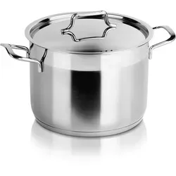 Orion Anett Topf mit Deckel, Edelstahl, 20 cm, 4,6 L
