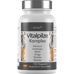 Vitalpilze Komplex- Hericium, Cordyceps, Reishi, Chaga, Shiitake & Maitake von EXVital