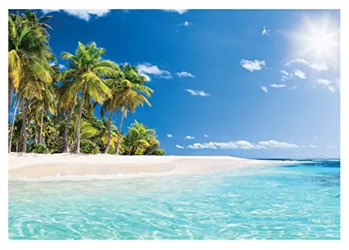 WallArena Vlies Fototapete Strand Meer Palmen 208x146 cm - Tapeten für Wohnzimmer und Schlafzimmer: Diese hochwertige Vlies Fototapete bringt mit ihrem Karibik-Motiv eine tropische Atmosphäre in Ihr Zuhause und ist dank einfacher Montage ideal für schnelle Raumgestaltungen.