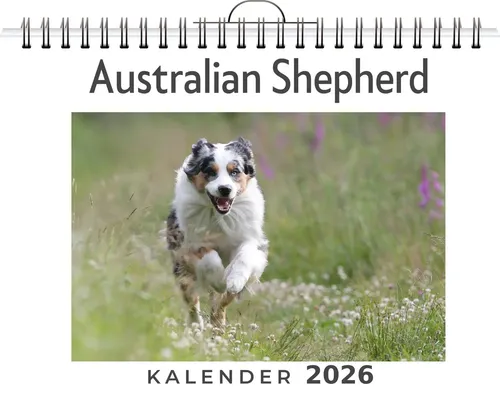 Julian Hofmann | Australian Shepherd | Kalender | Deutsch | 2026 | FlipFlop