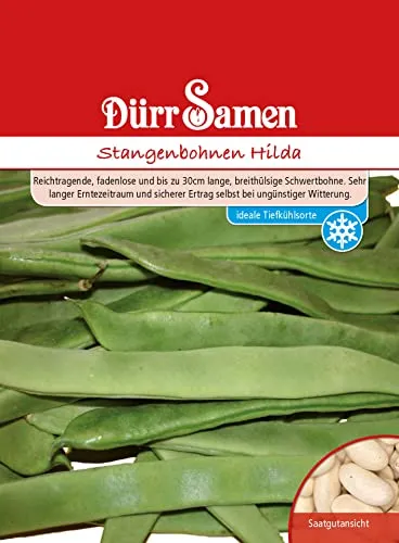 Stangenbohnen Samen Hilda Bohnensamen Grüne Bohnen ca 90 Korn Saatgut Gemüse Garten Hochbeet Kübel Dürr Samen