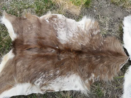 Leder & Vinyl Weiß von Provellus