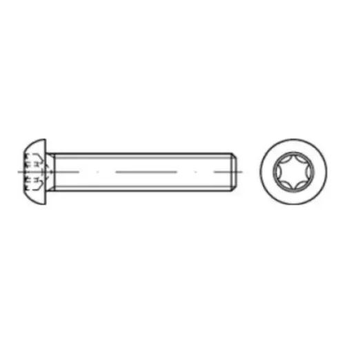 Reyher Flachkopfschrauben ISO 7380 -1 A 2 M 3x8 -T10 (500 Stück)
