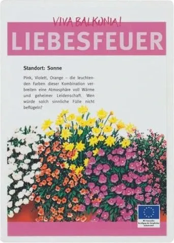 LMG 100 Laminierfolien glänzend für A4 100 micron