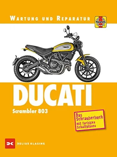 Ducati Scrambler 803: Wartung und Reparatur